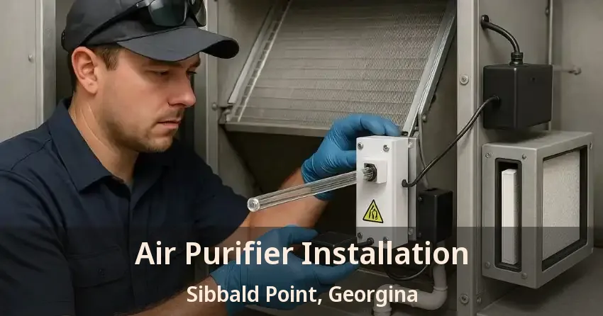 Air Purifier Installation Sibbald Point, Georgina - ON