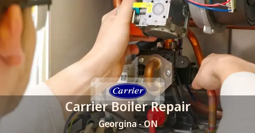 Carrier Boiler Repair Georgina - ON