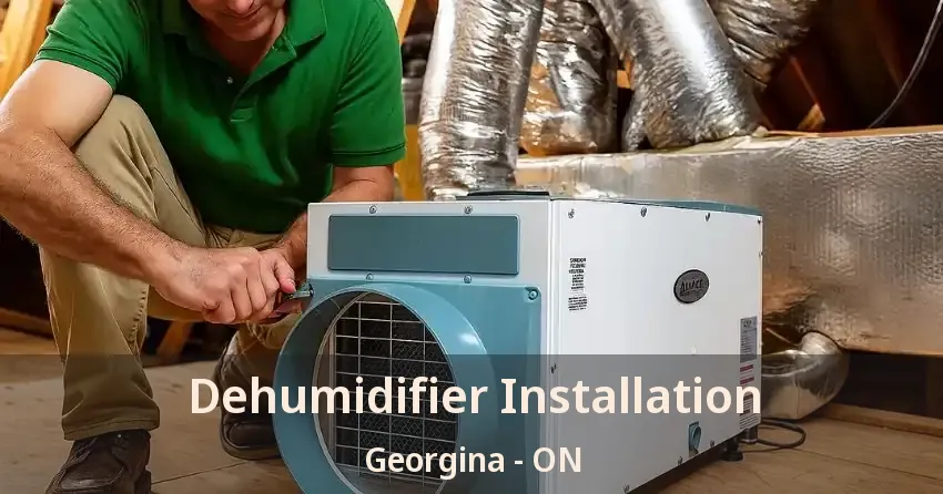 Dehumidifier Installation Georgina - ON