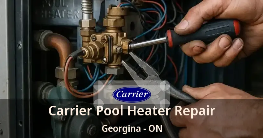 Carrier Pool Heater Repair Georgina - ON